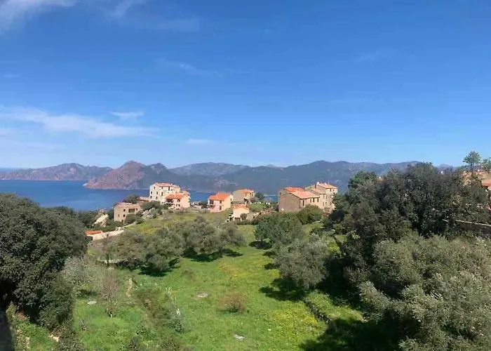 Appartement De Standing Piana